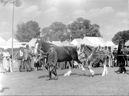 Bedfordshire 1938.1595