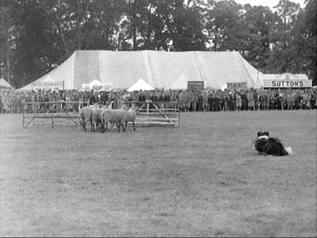 Bedfordshire 1939.1665