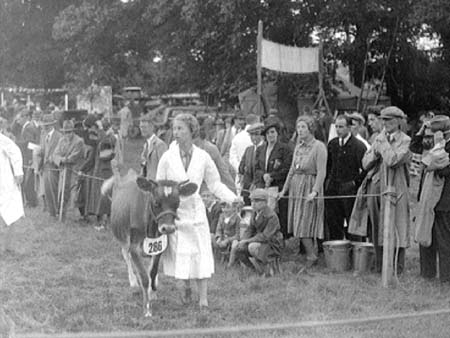 Bedfordshire 1939.1668