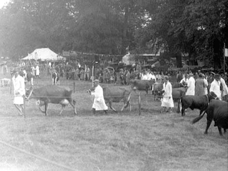 Bedfordshire 1939.1670