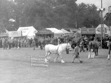 Bedfordshire 1939.1671