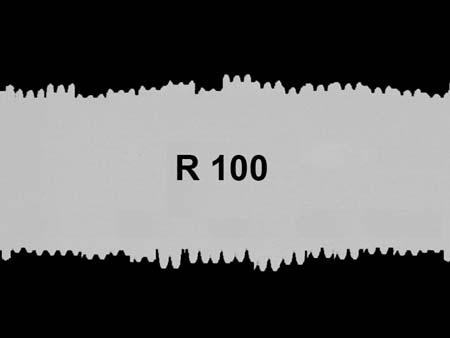 291.R100