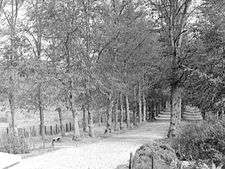 In 1938.1622