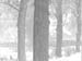   e1900s.4306