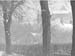   e1900s.4307