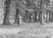 In 1952 06