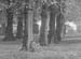 In 1952 07