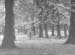 In 1952 08