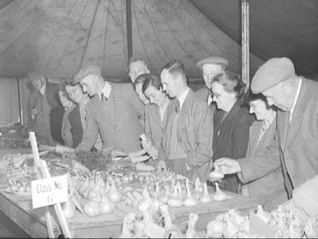 Hill Meadow 1948.3451
