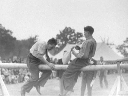 Hill Meadow 1948.3453