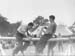 Hill Meadow 1948.3453