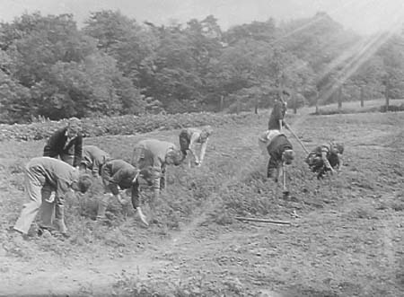 1942 Gardening 06
