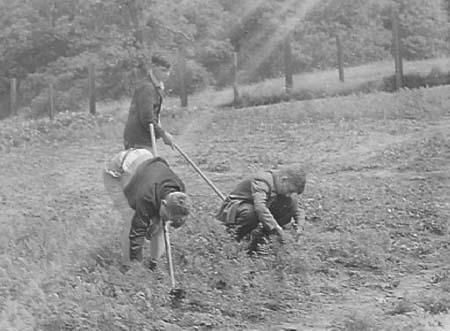 1942 Gardening 08