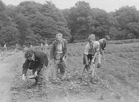 1942 Gardening 09
