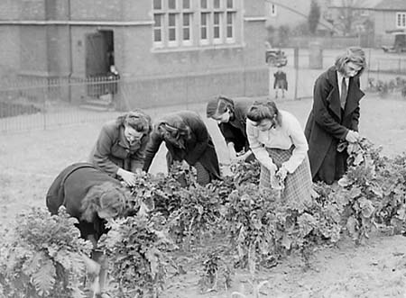 1944 Gardening 11