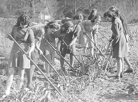 1945 Gardening 02