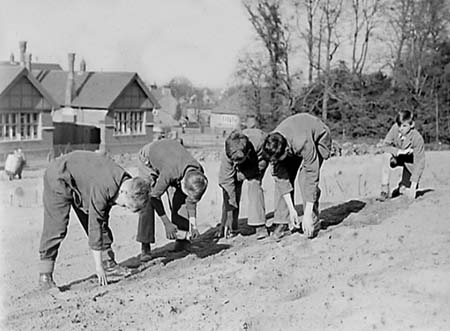 1945 Gardening 04