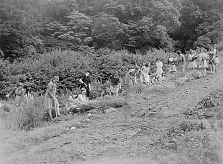 1946 Gardening 01