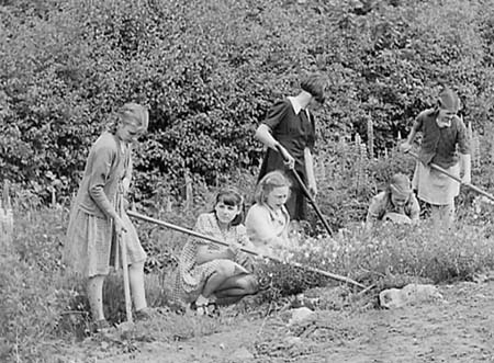 1946 Gardening 02