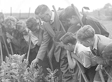 1946 Gardening 06