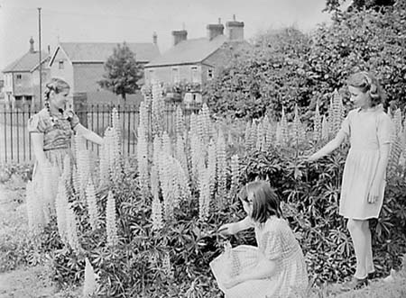1946 Gardening 08