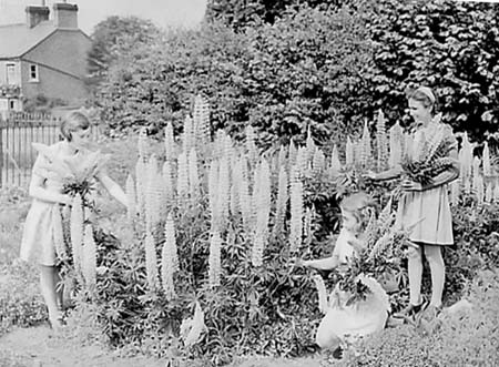 1946 Gardening 11
