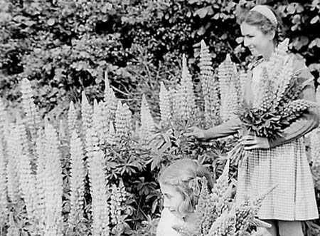 1946 Gardening 12