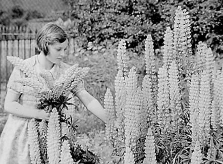 1946 Gardening 13