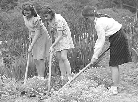 1947 Gardening 05
