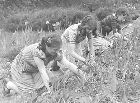 1947 Gardening 08