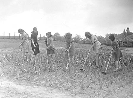 1947 Gardening 09