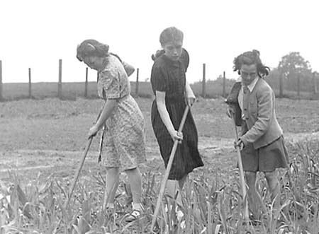 1947 Gardening 11