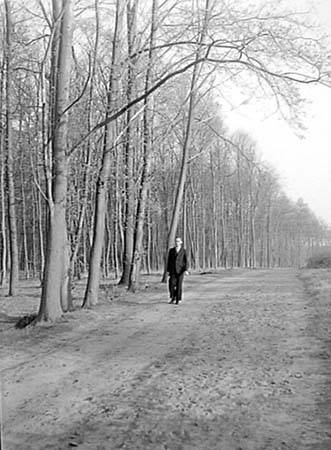 1949 Woods 01