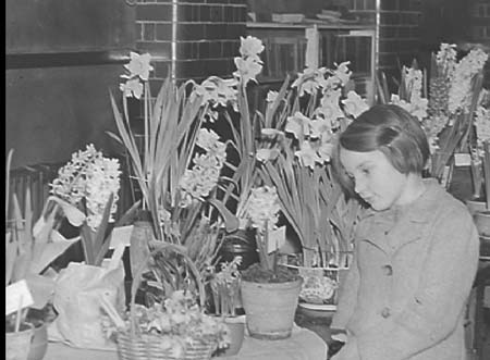 1940 Bulbs Show 02