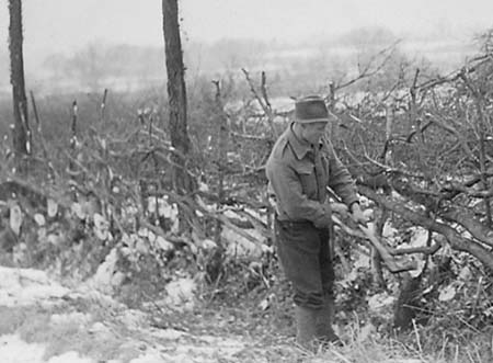 1947 Hedge Laying 03