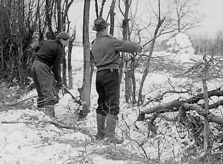 1947 Hedge Laying 05