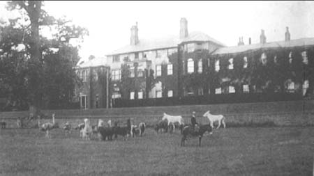 Ampthill House 07 e1900s