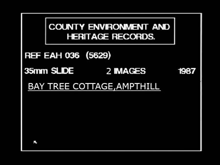 Bay Tree Cott.1987.5619