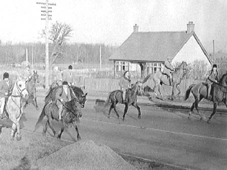 Bungalow.1947. 3155