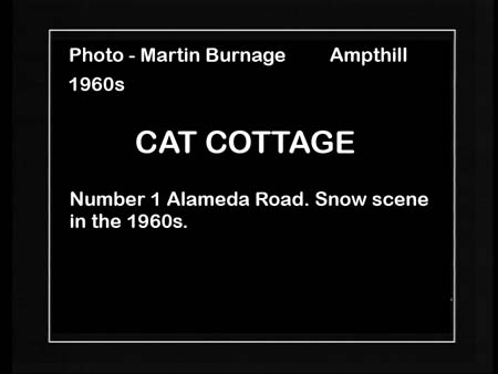 Cat Cottage 1960s 01