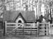 Holly Lodge  c1900.1036