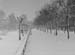 Riverside 1950 21