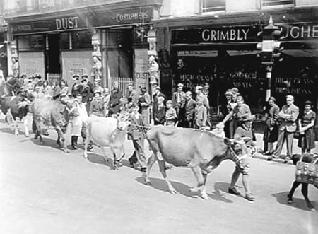 1943 Farming Sunday 41