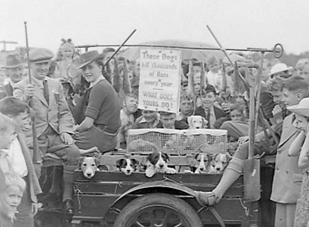 1943 Farming Sunday 50