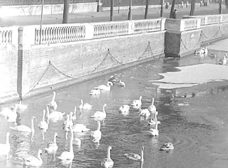 Riverside 1954 10