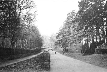   Bedford St e1900s.1200