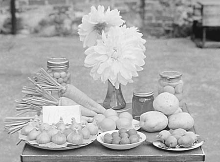 1946 Flower Show 01