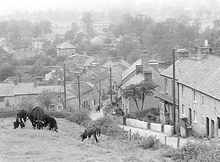 1948 Scenic Views 06