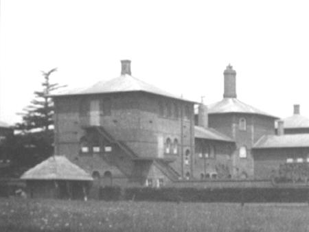 Cedars 02 c1900