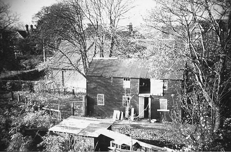Cedars 22 1964